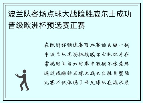 波兰队客场点球大战险胜威尔士成功晋级欧洲杯预选赛正赛
